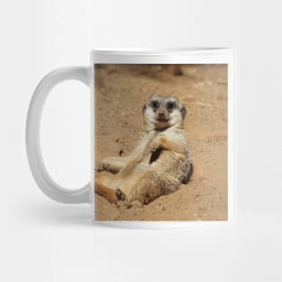 Meerkat 045 Mug